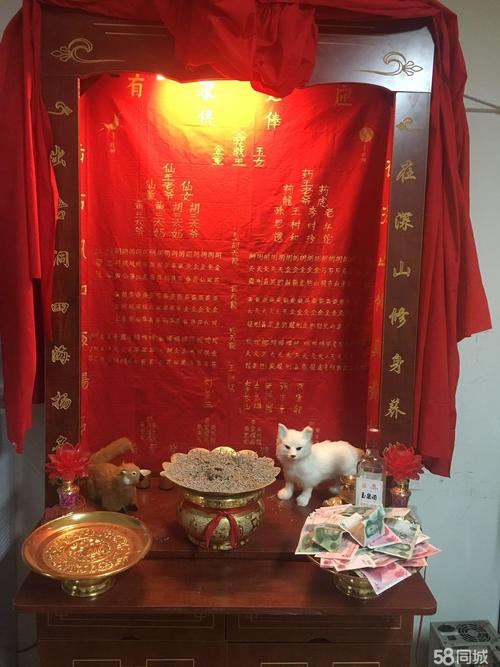 顶仙算命准吗 顶仙的人