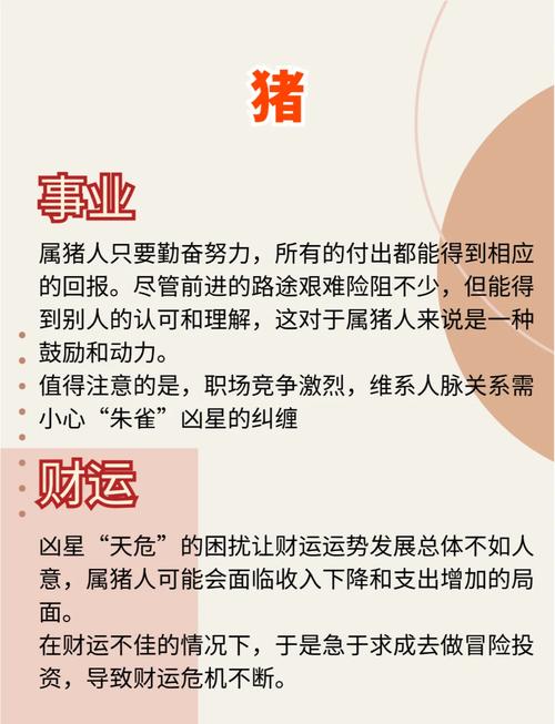 59年属猪是什么八字命运(59年属猪是什么八字命运呢)