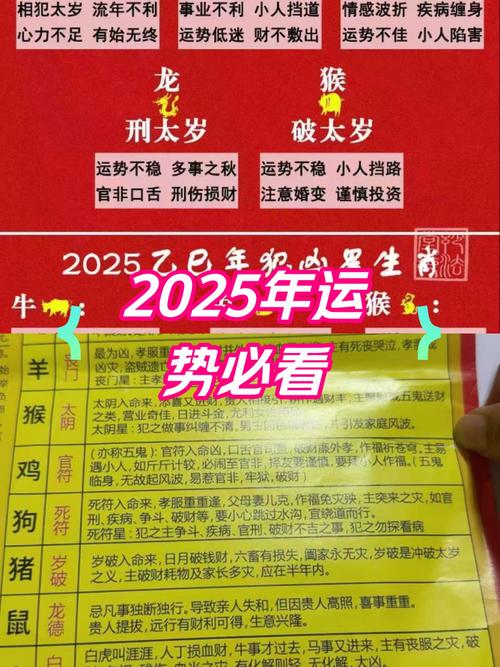 五行八字命运详批2025年运势(2025年运气)