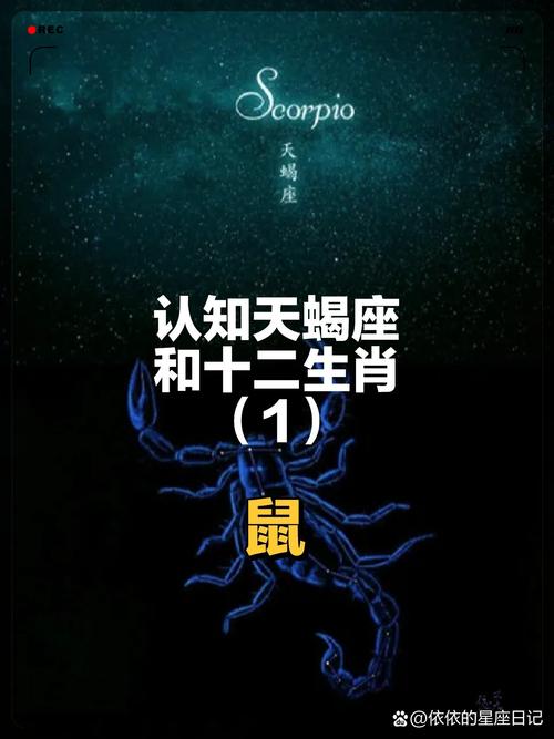 属鼠天蝎座的人生运势如何(属鼠天蝎座的人生运势如何呢)